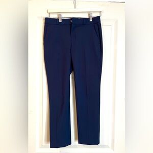 Banana Republic Navy Pants Cropped